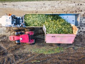 Farm Jobs Canada with Free Accommodation - Apply Now 2026