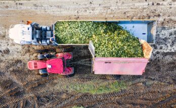 Farm Jobs Canada with Free Accommodation - Apply Now 2026