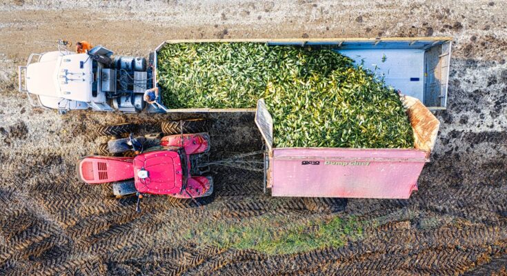 Farm Jobs Canada with Free Accommodation - Apply Now 2026